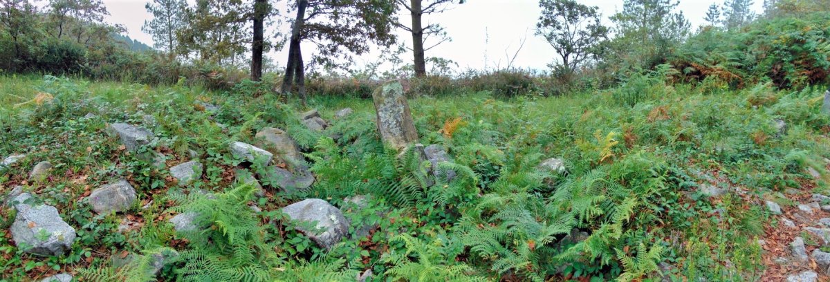 Belkoain Trikuharria