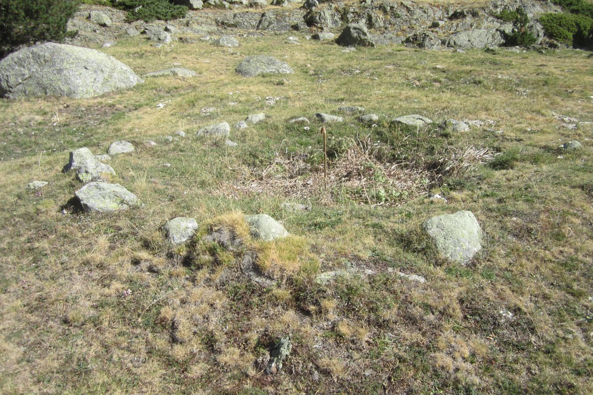 Cromlech Forau de la Llana  (Septiembre 2019)