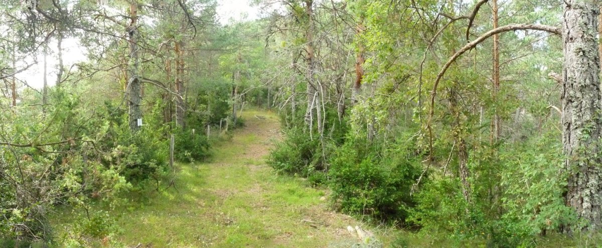 Añuki eta Esteleski arteko lepoa