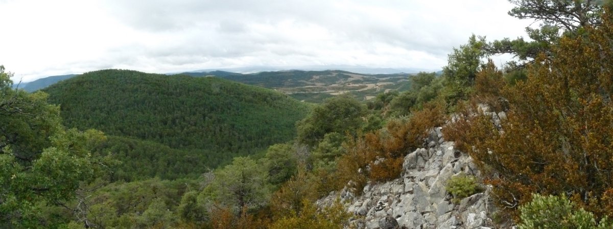 Esteleskiko gailurra