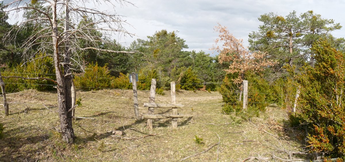 Ataka Zelaiganako gailurrean