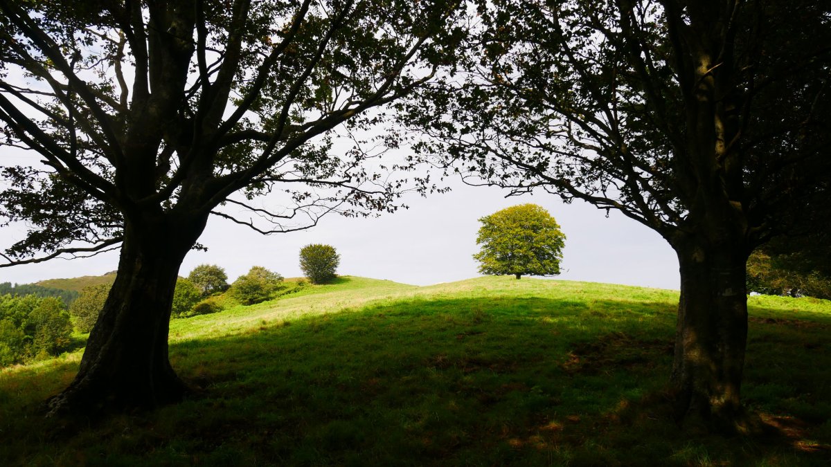 Berreuko Gaina, Ekialdeko bizkarretik