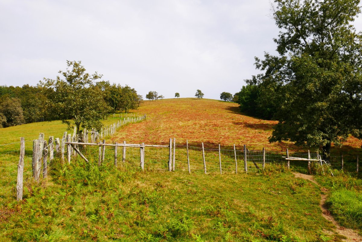 Hegoaldeko lepotik ikusita