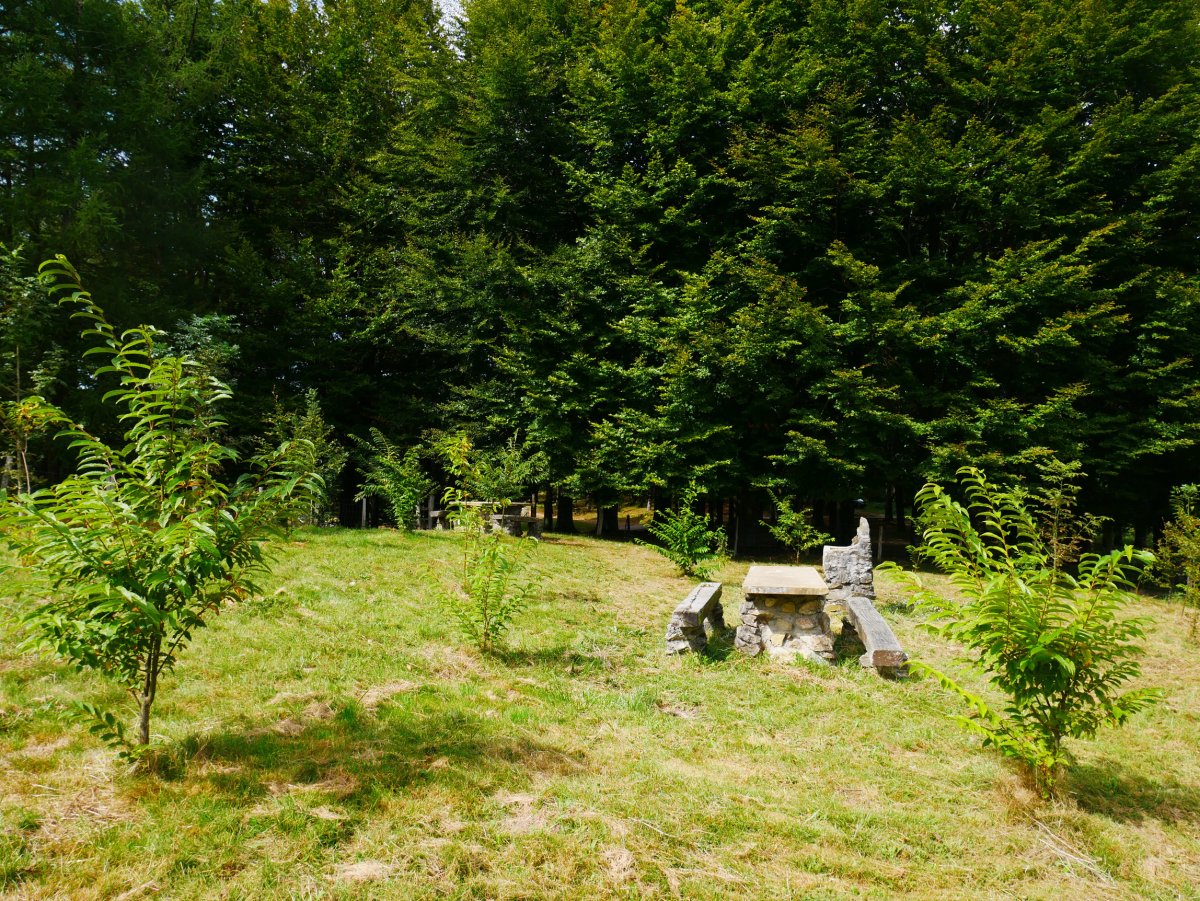 Atseden hartzeko leku aproposa