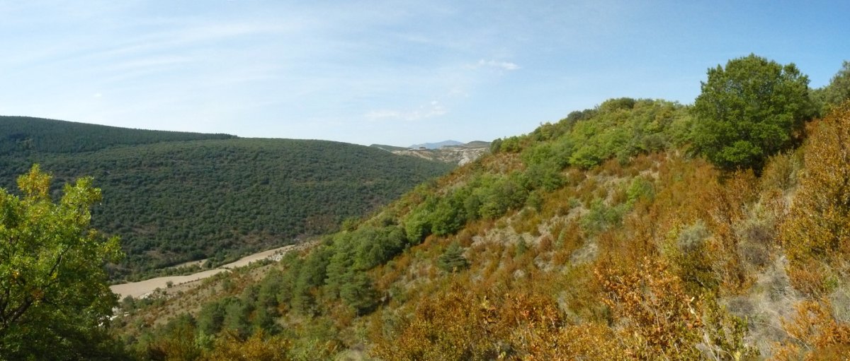 Belorizko hegietan gora