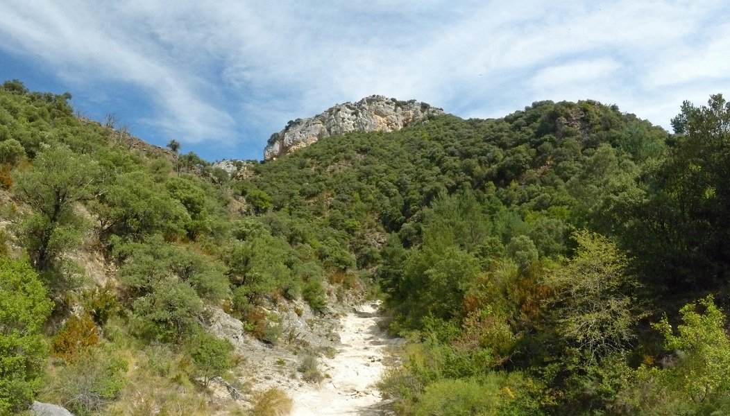 Ososki, Santa Kolonbatik