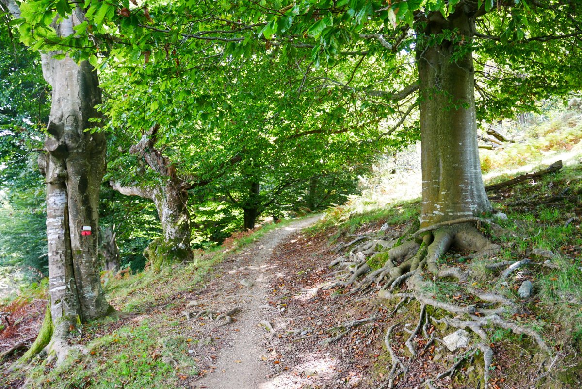 GR bidea Illasmendiko Iparraldeko hegian