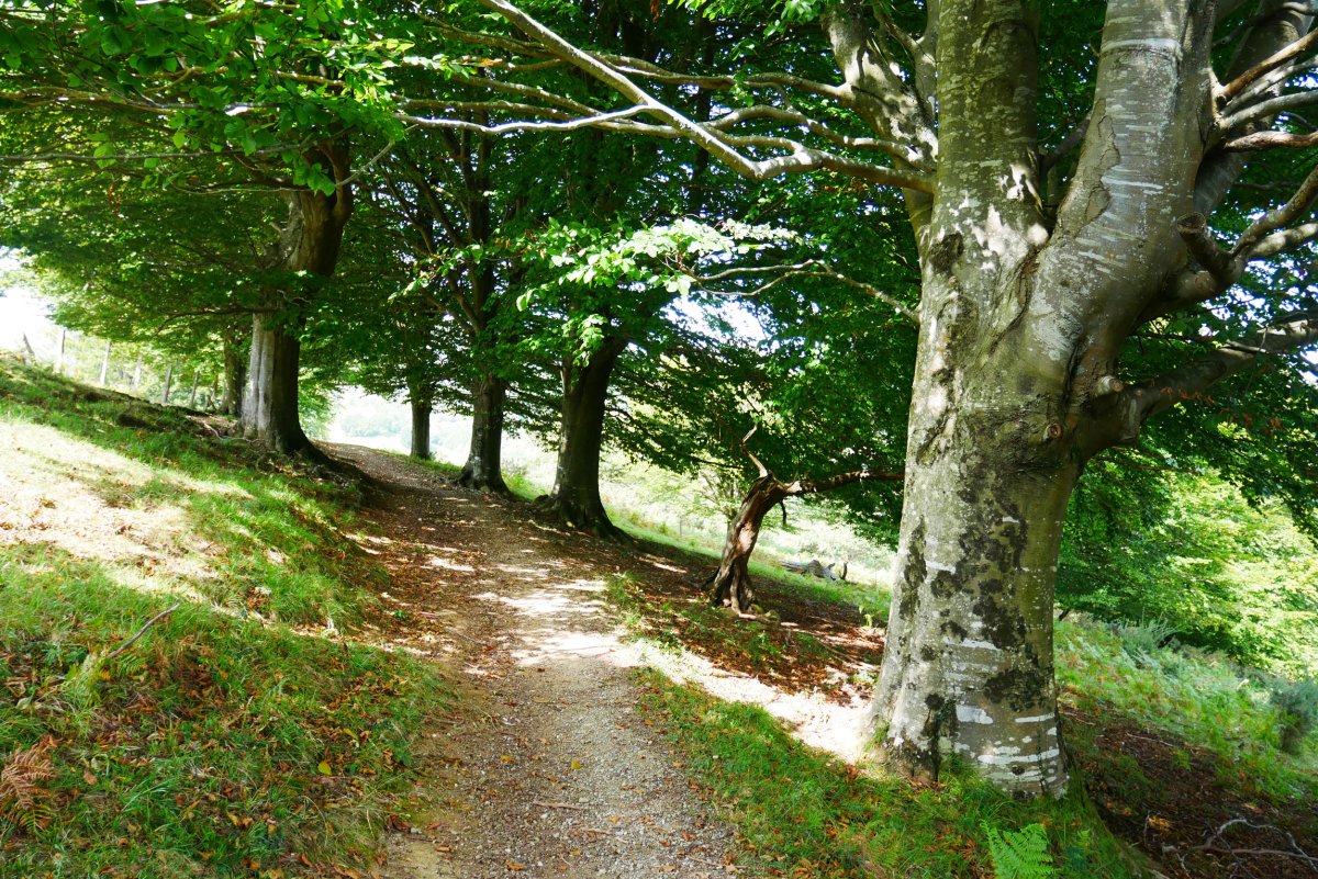 GR bidea Illasmendiko Iparraldeko hegian