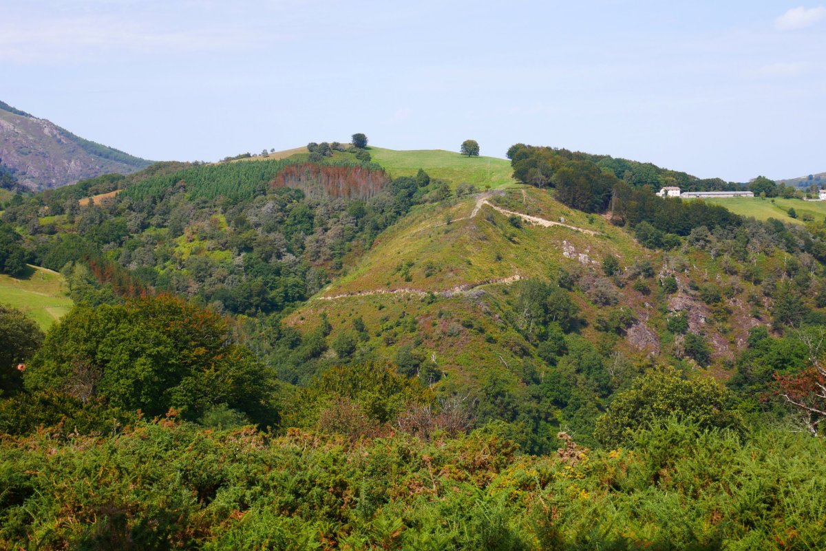 Berreuko Gaina, HEtik