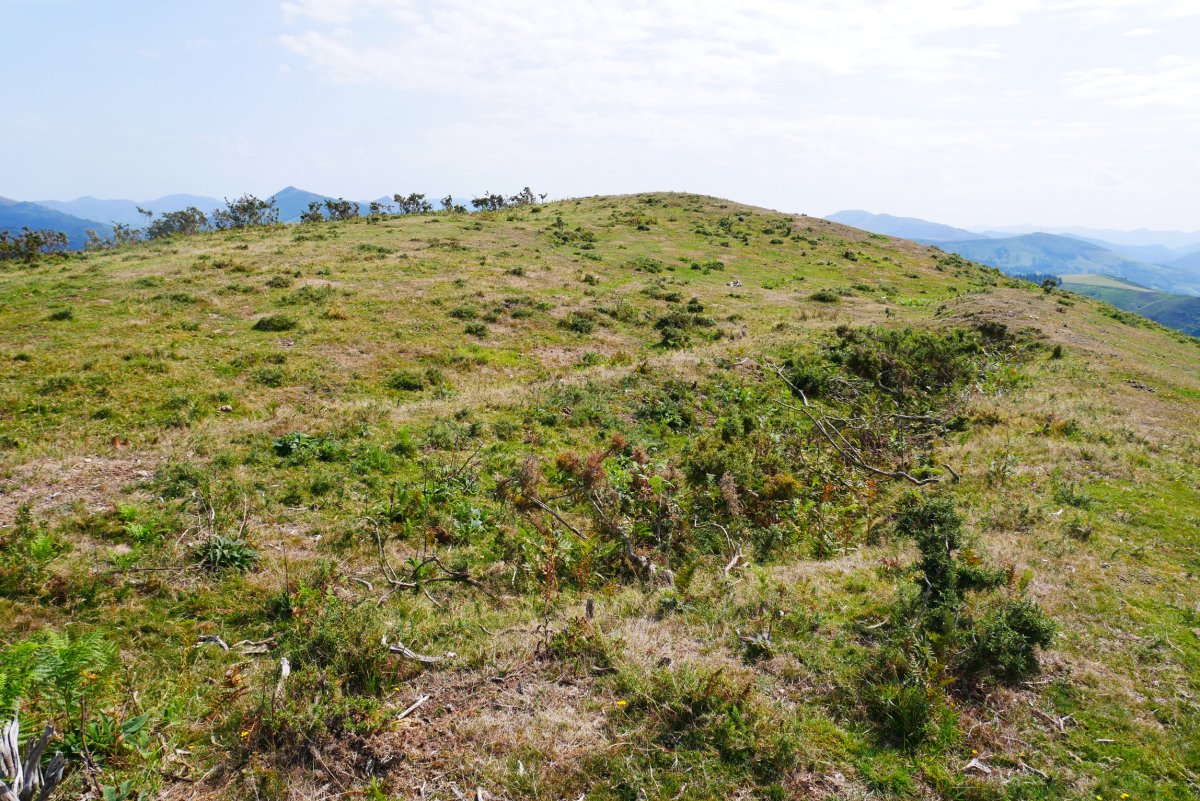 Eskolamendi tontorra