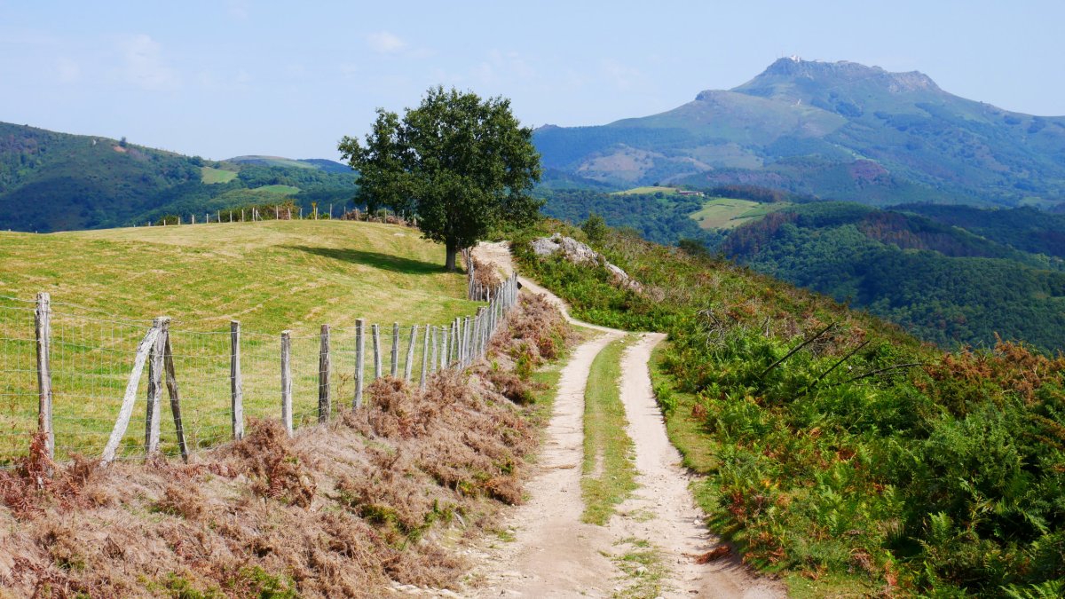 Zalain aldera jaisten