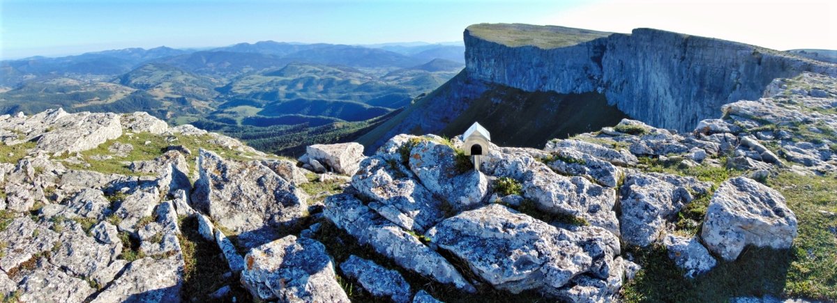 Buzoidun Tontorra. Atzean, Eskutxi