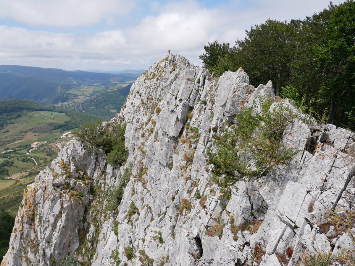 Tontorra Etik, Berrendi