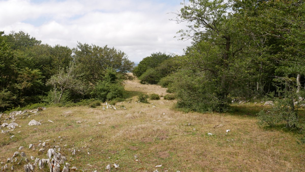 360º panoramika tontorretik, Berrendi