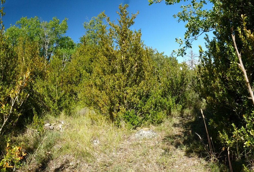 Ellakurriako gailurra