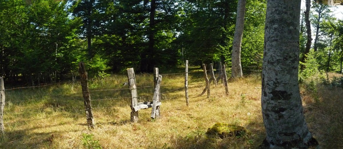 Ataka Brechako gainaldean