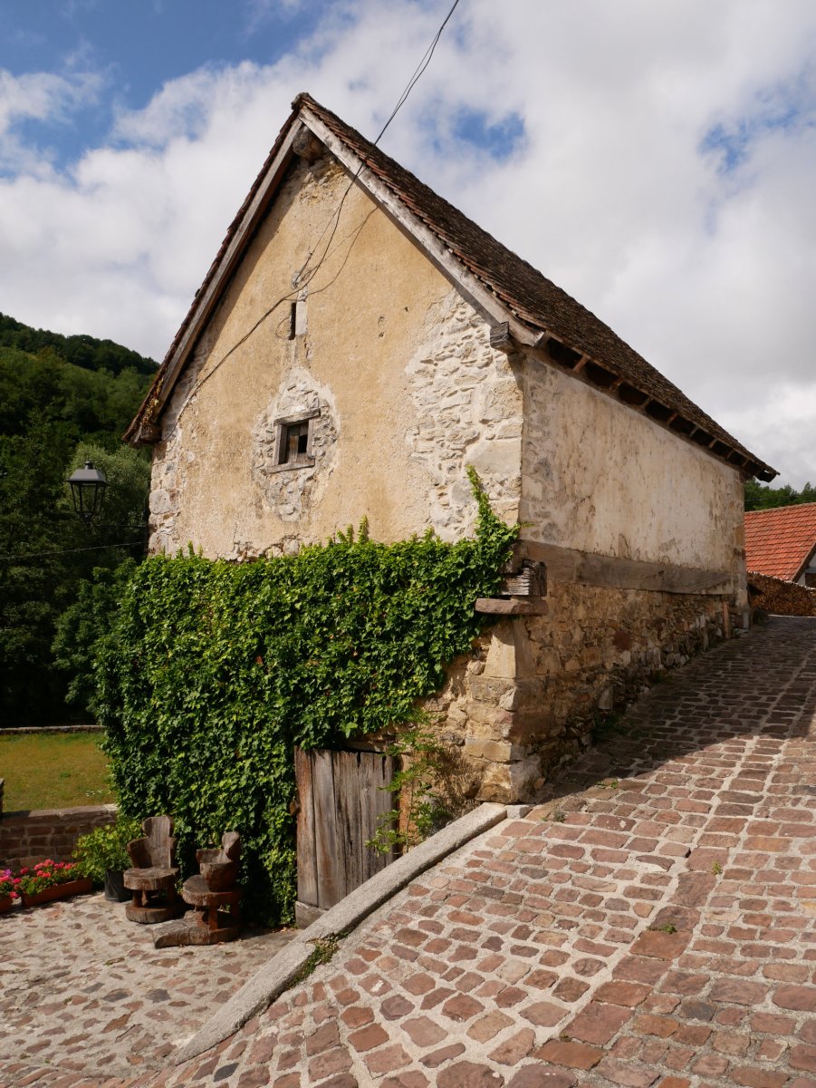 Domentx garaia, Aribe