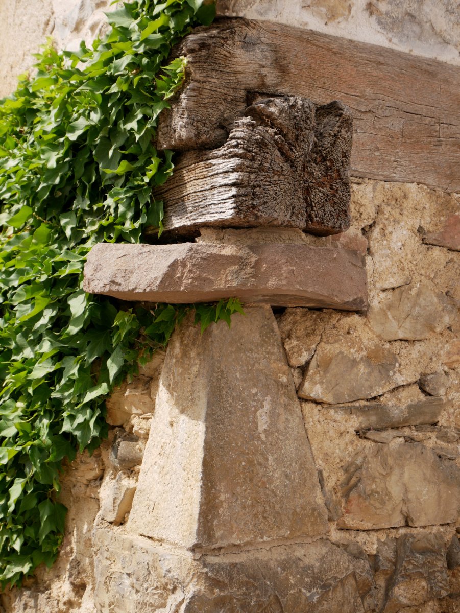 Domentx garaia, Aribe