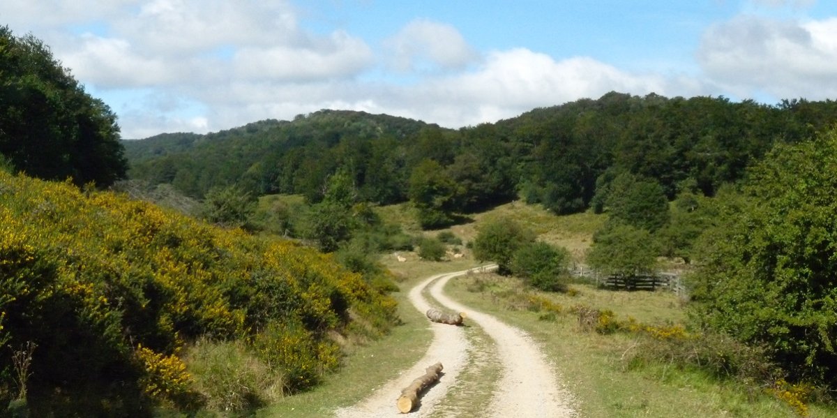 Otansur, Atako ibarretik