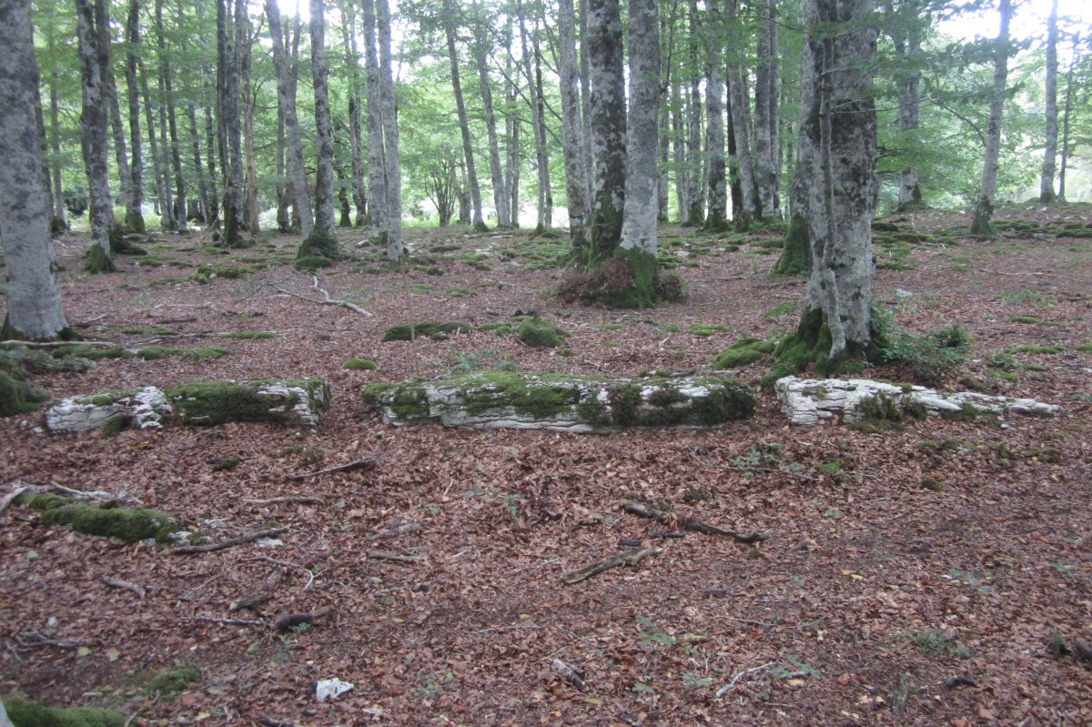 Monolito Artzeiturrieta (Septiembre 2019)