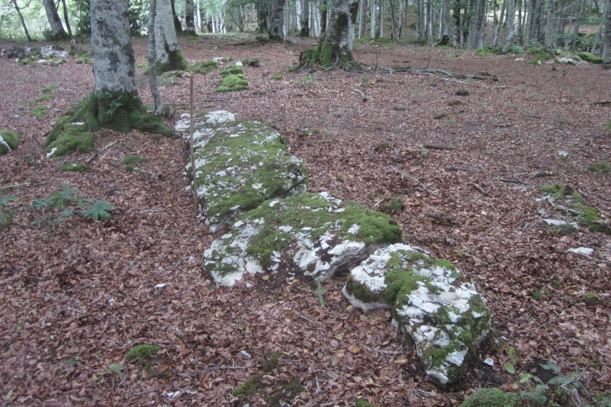 Monolito Artzeiturrieta--Arantzadia (Septiembre 2019)