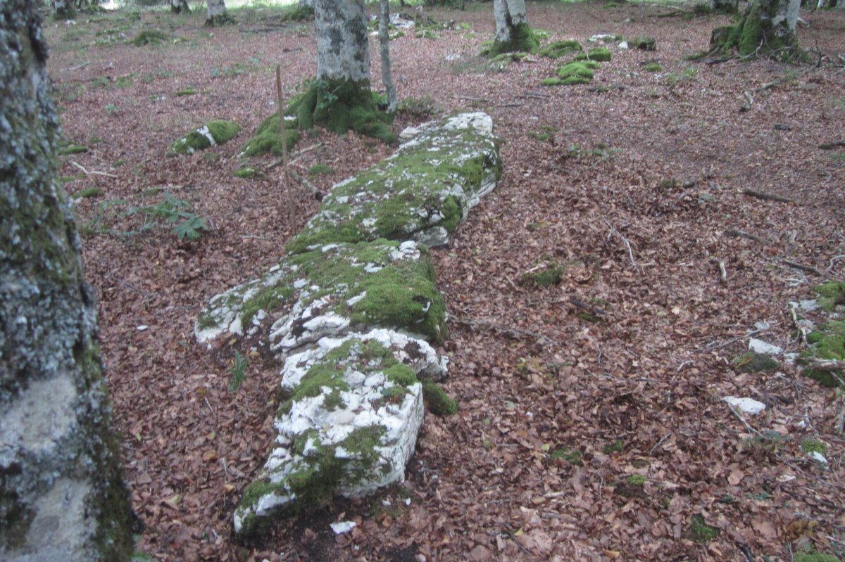 Monolito Artzeiturrieta  (Septiembre 2019)