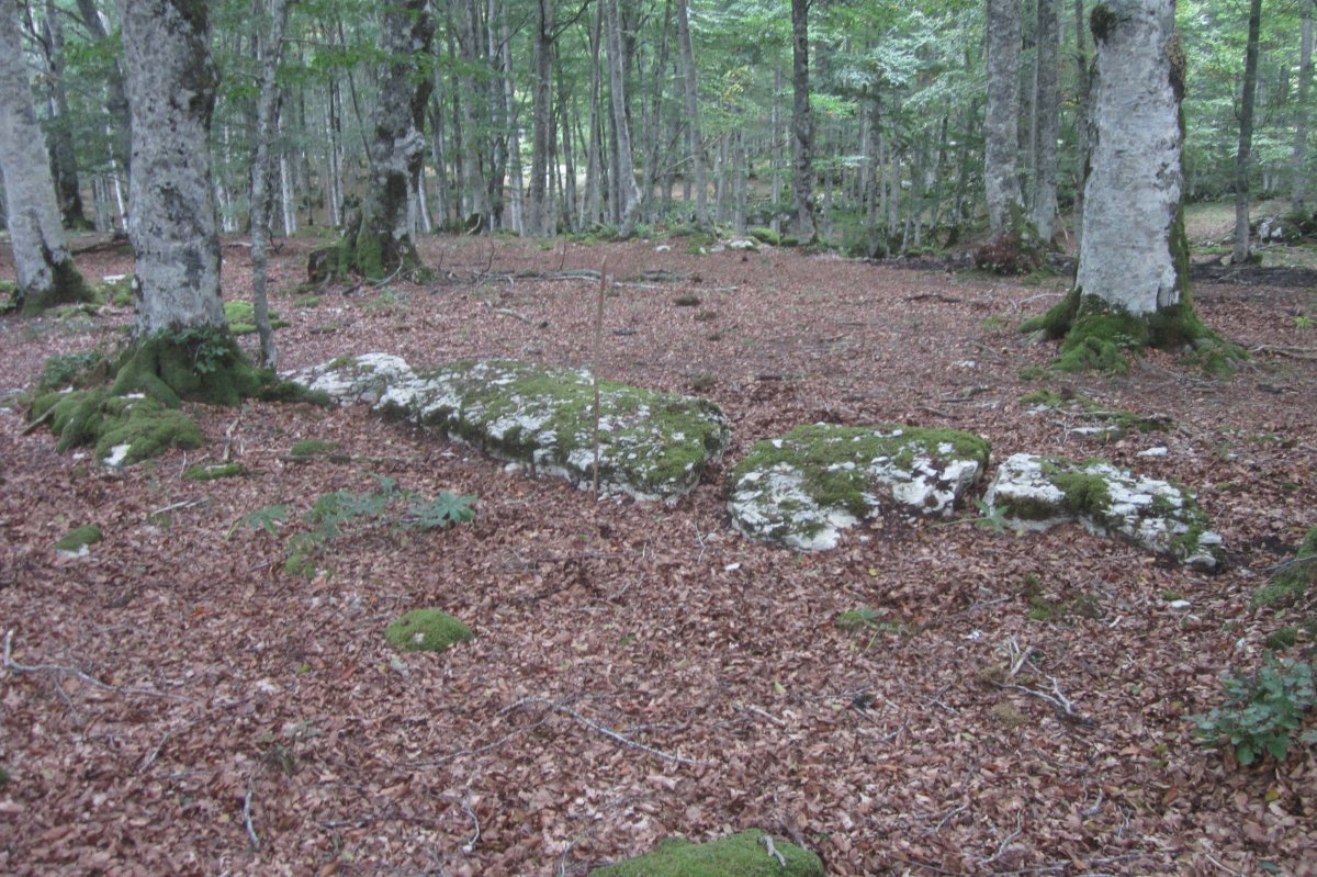 Monolito Artzeiturrieta-- Arantzadia (Septiembre 2019)