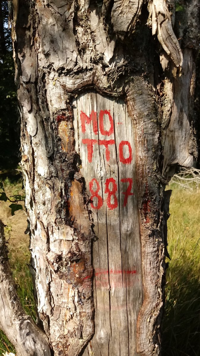 Motto (887m) tontorra