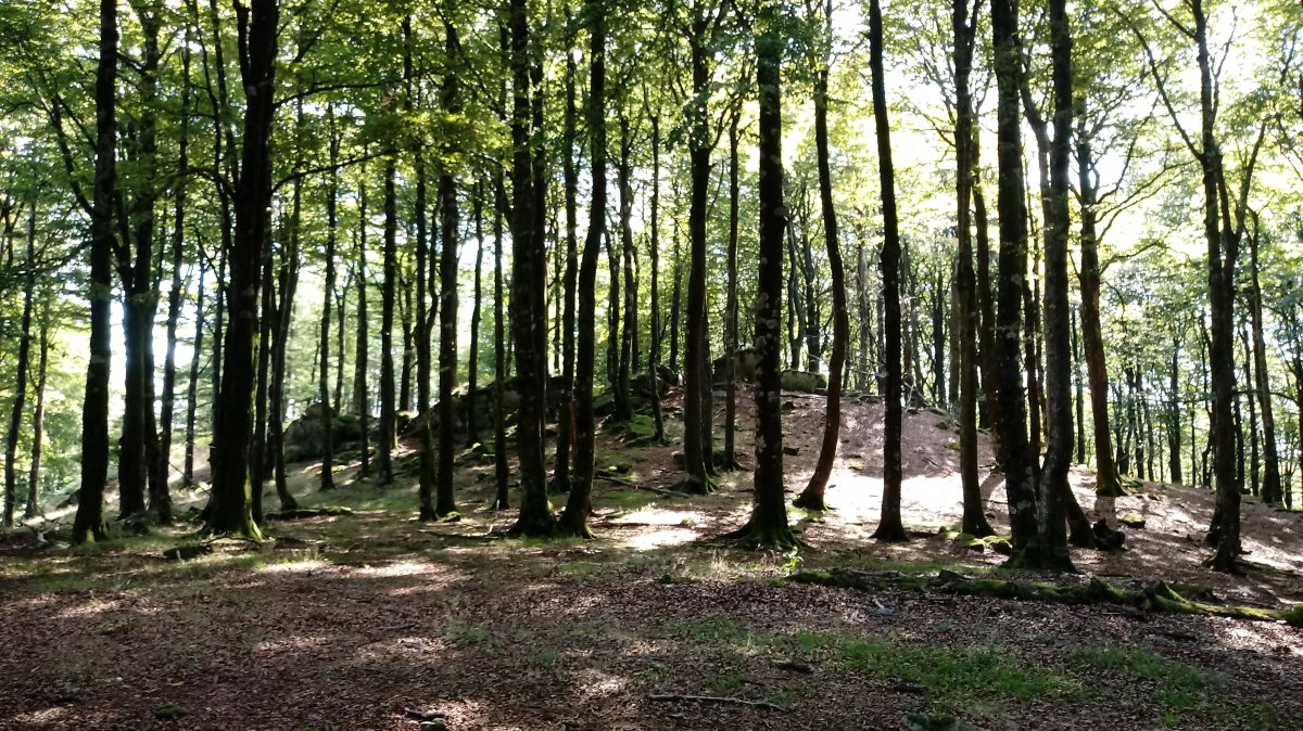 Kipular (1065m) gaina