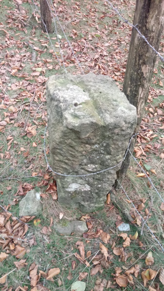 Gipuzkoa-Nafarroa mugarria