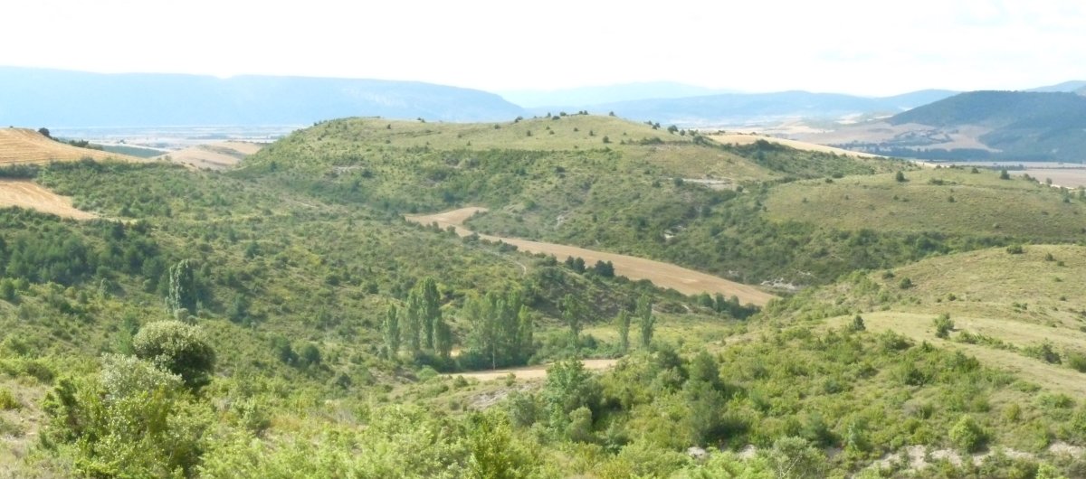 Ibargun Meotz ingurutik