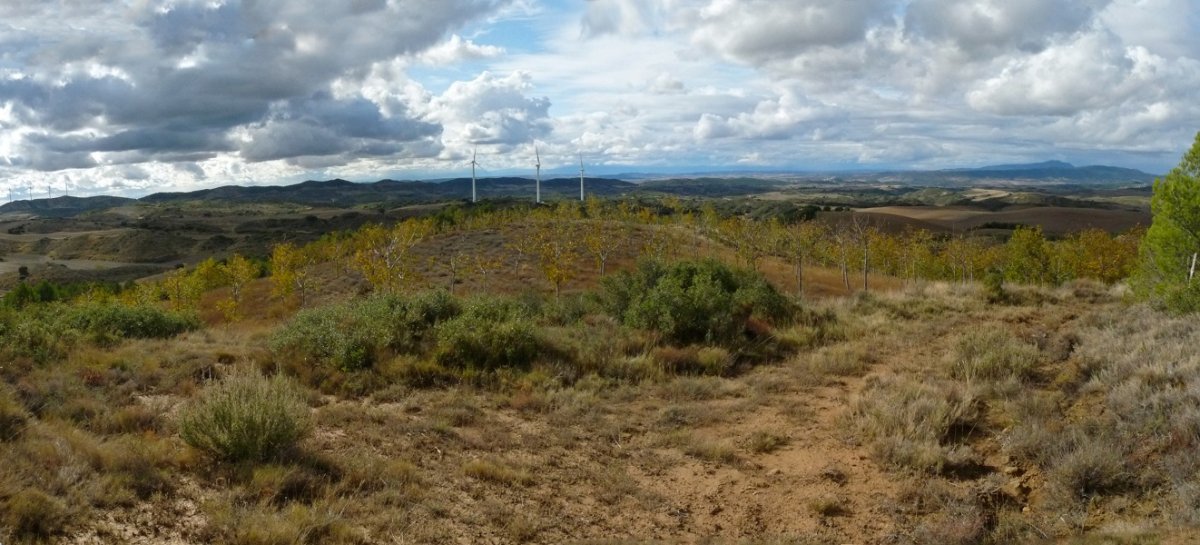 Izarbeibarreko paisaia zabalak 