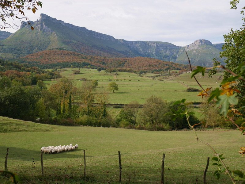 Belandiako larreak Iturrigorriren oinetan