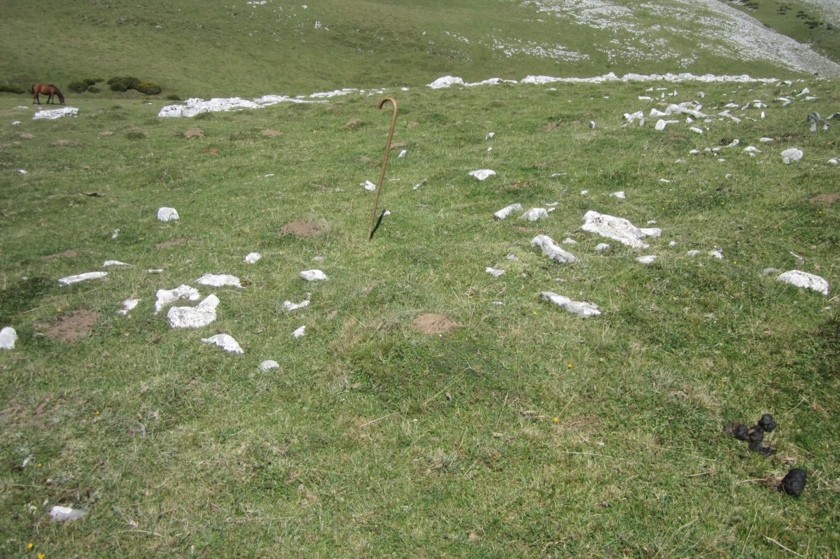 Túmulo Arraska nº 9  (Agosto 2017)