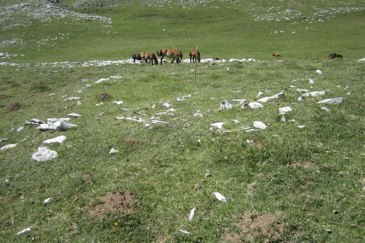 Túmulo Arraska nº 12  (Agosto 2017)