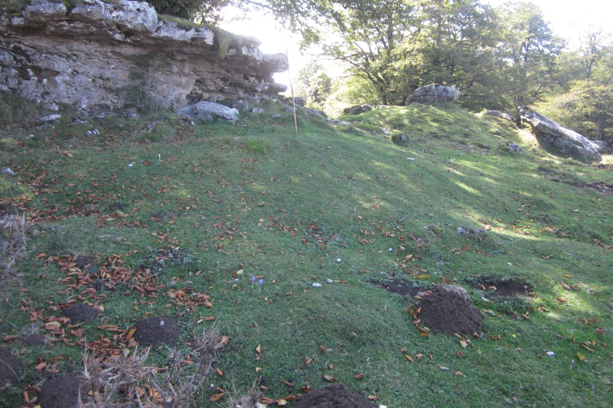 Fondo de Cabaña Gaasta (Septiembre 2019)