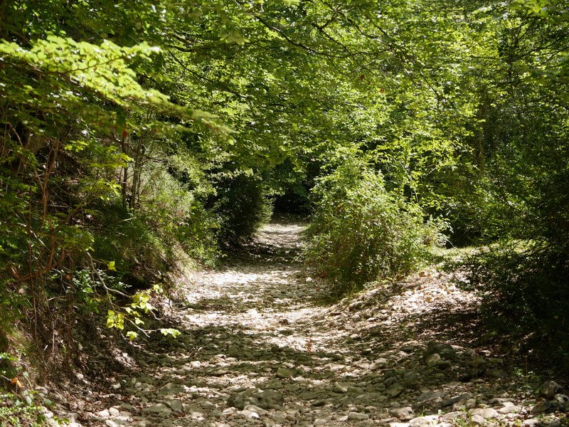 Irantzu errekan gora doan bidea