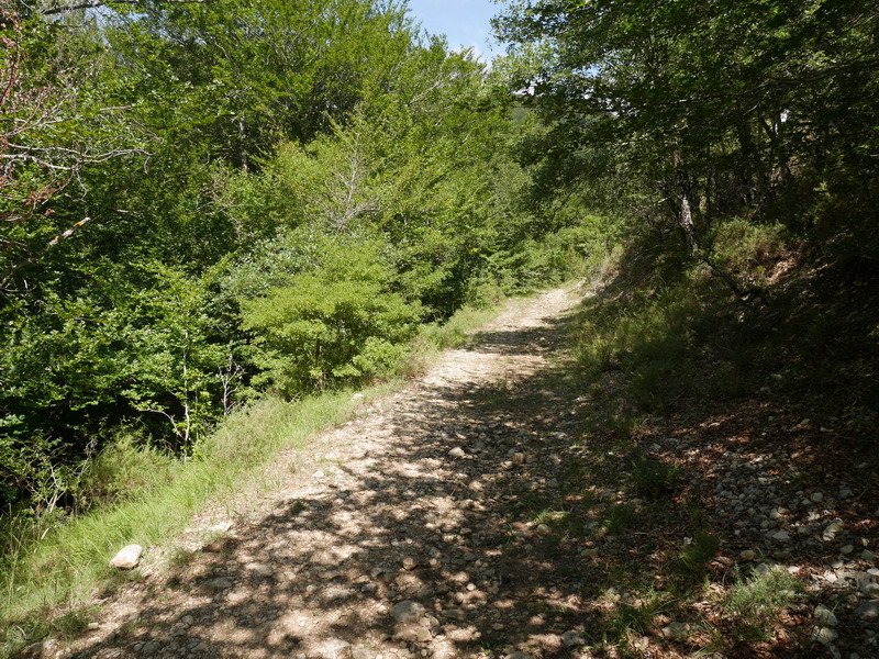 Irantzu errekan gora doan bidea