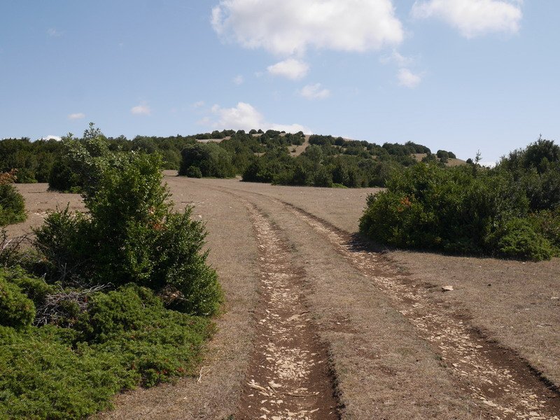 Mandabide lepotik Larraitzara igotzen den bidea