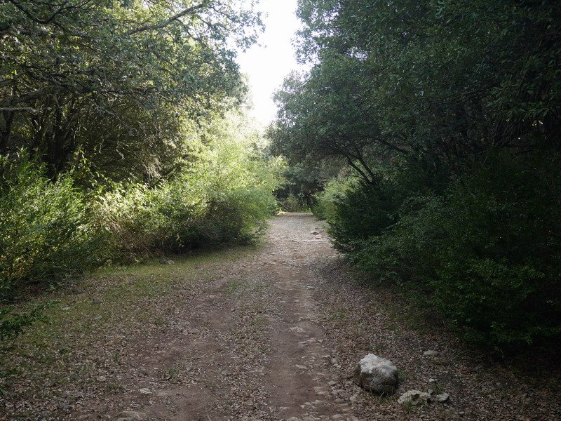 Ibilbideko pasarte bat