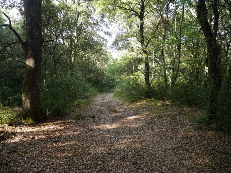 Ibilbideko pasarte bat