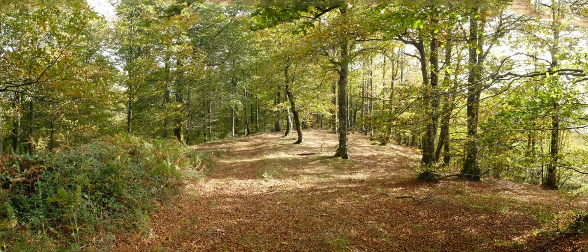 Bidea gainaldean barrena