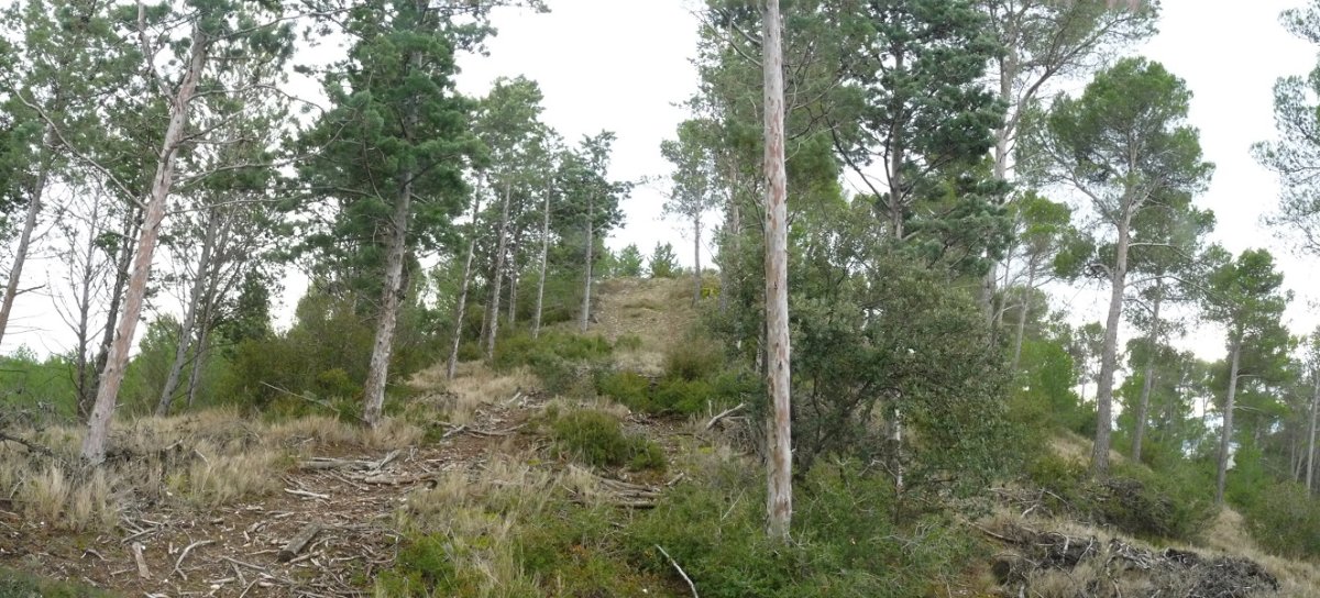 La Raicilla (625m), azken metroak