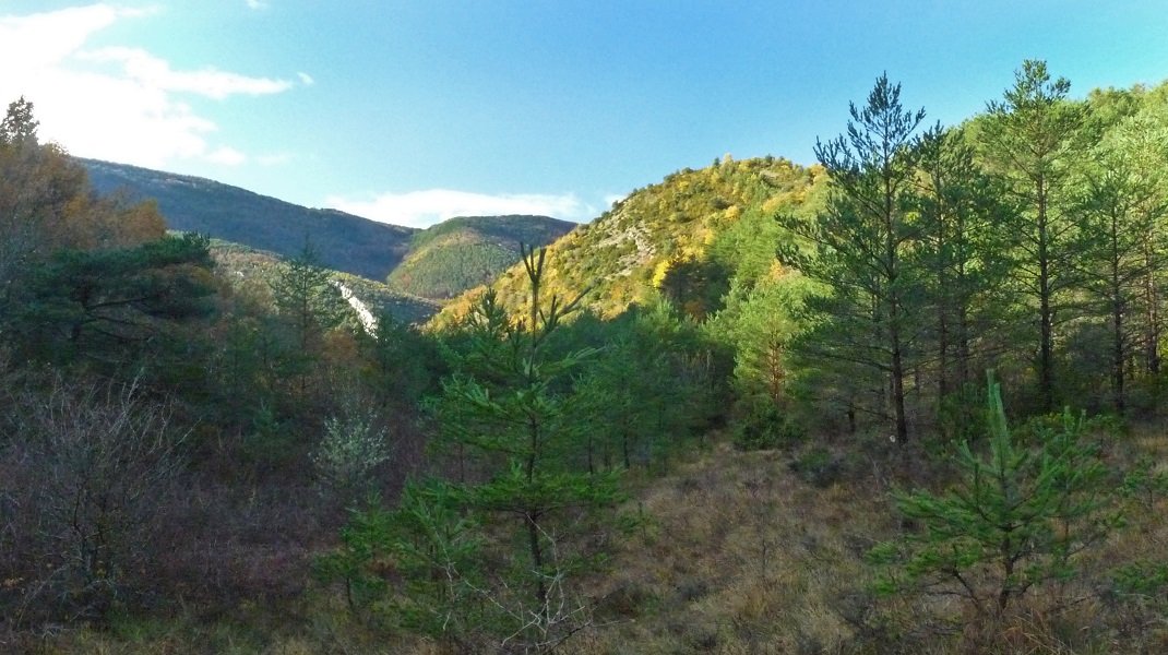 Solano Mayor, Valdelossotos ibarretik