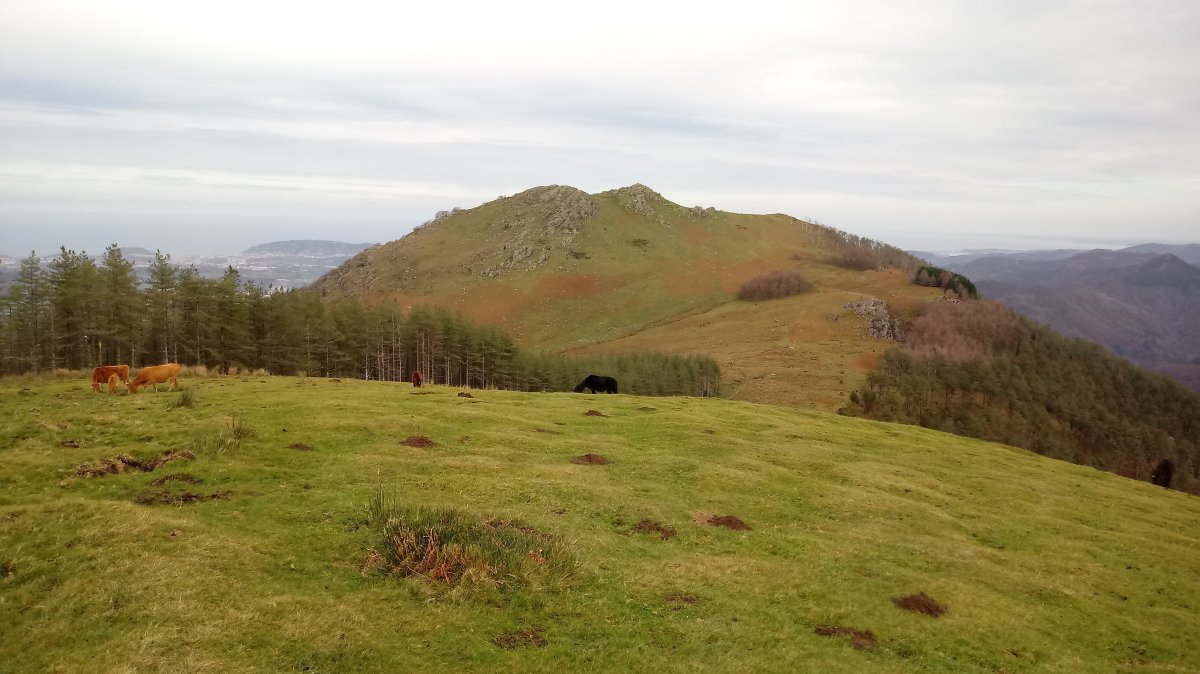 Adarra (819m) Oindotik