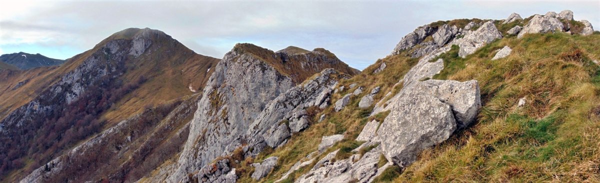 Tontorra, Gandorra eta Urakorri