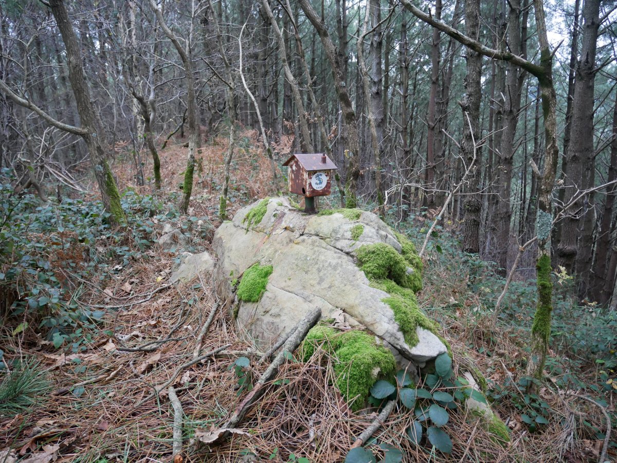 Txartelontzi zaharra, Bordatxo