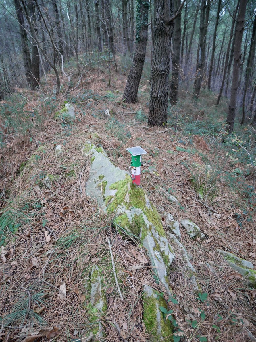 Txartelontzi berria, Bordatxo