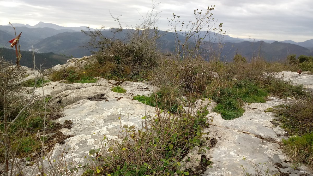 Garaluz (575m) tontorra