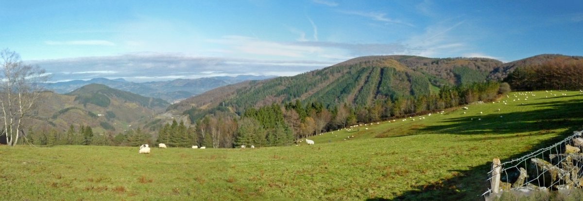 Larrazkondoko gainaldea